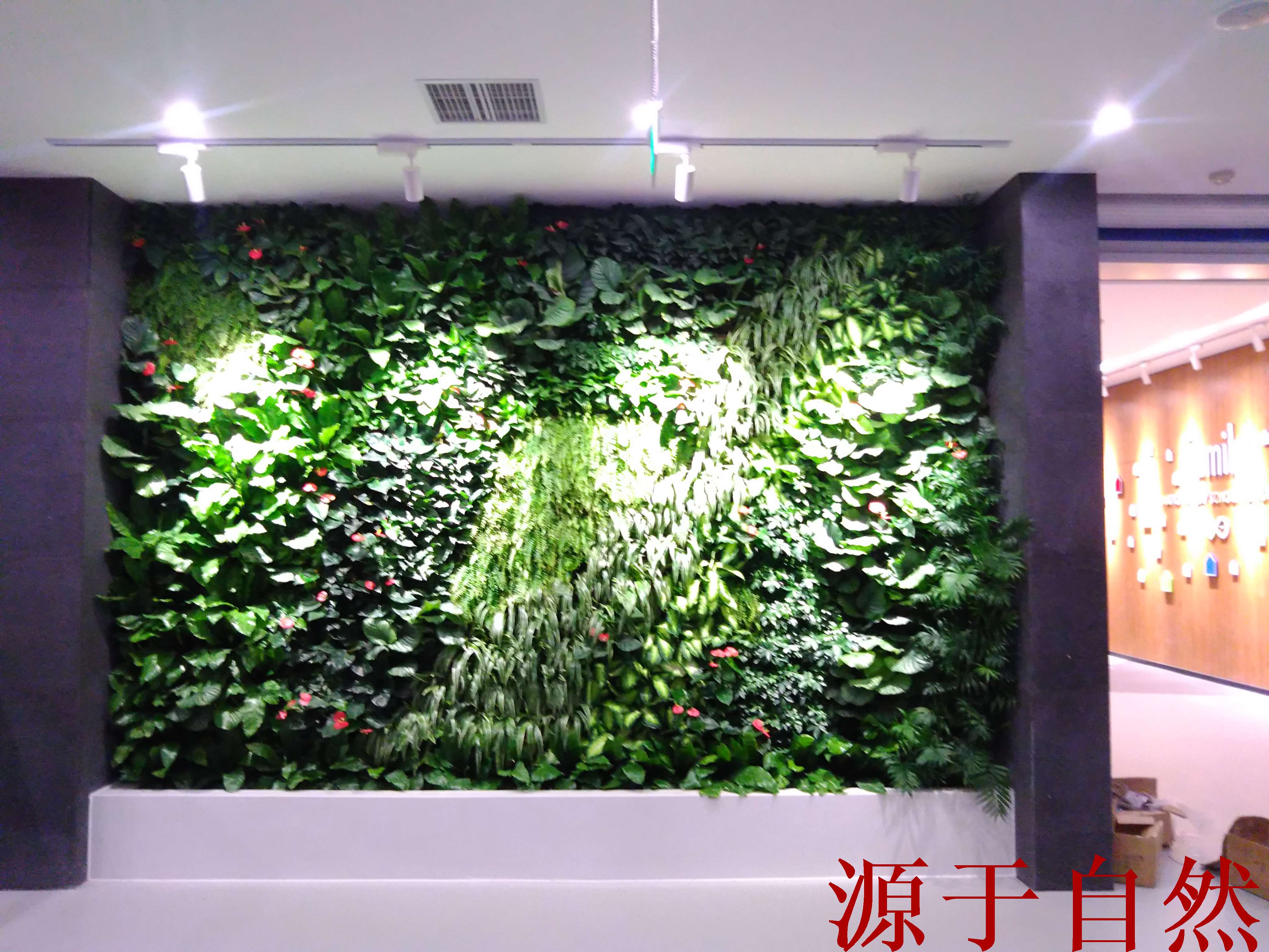 项目案例 / 仿真植物墙_绿植墙公司-仿真绿植墙,植物墙厂家,植物墙价格,广州植物墙