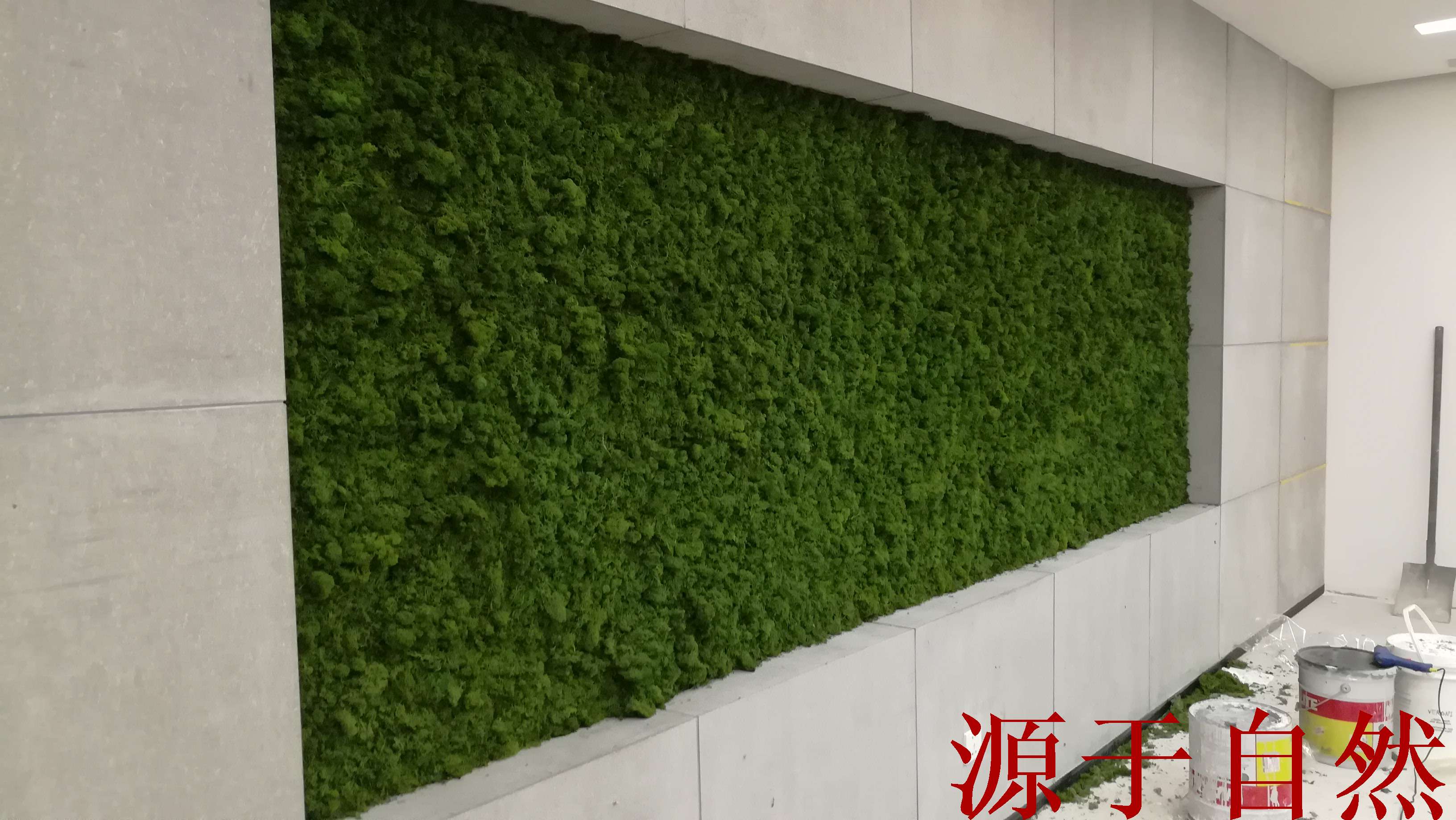 河南青藤园艺-立体绿化解决方案-室内外植物墙-屋顶绿化-仿真花艺
