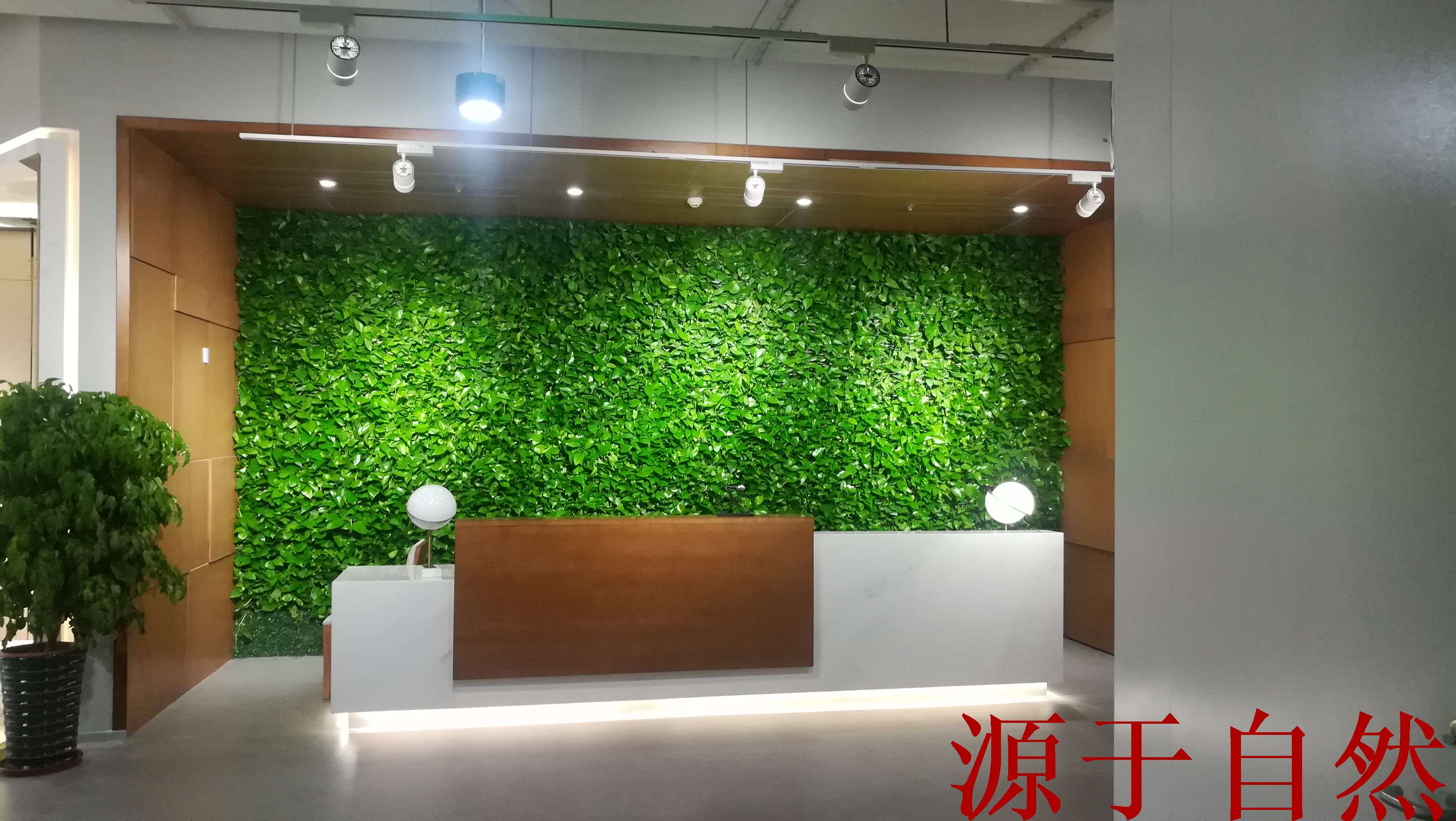 室内可移动式植物墙，应用场景丰富-植物墙图片-天海铭园植物墙