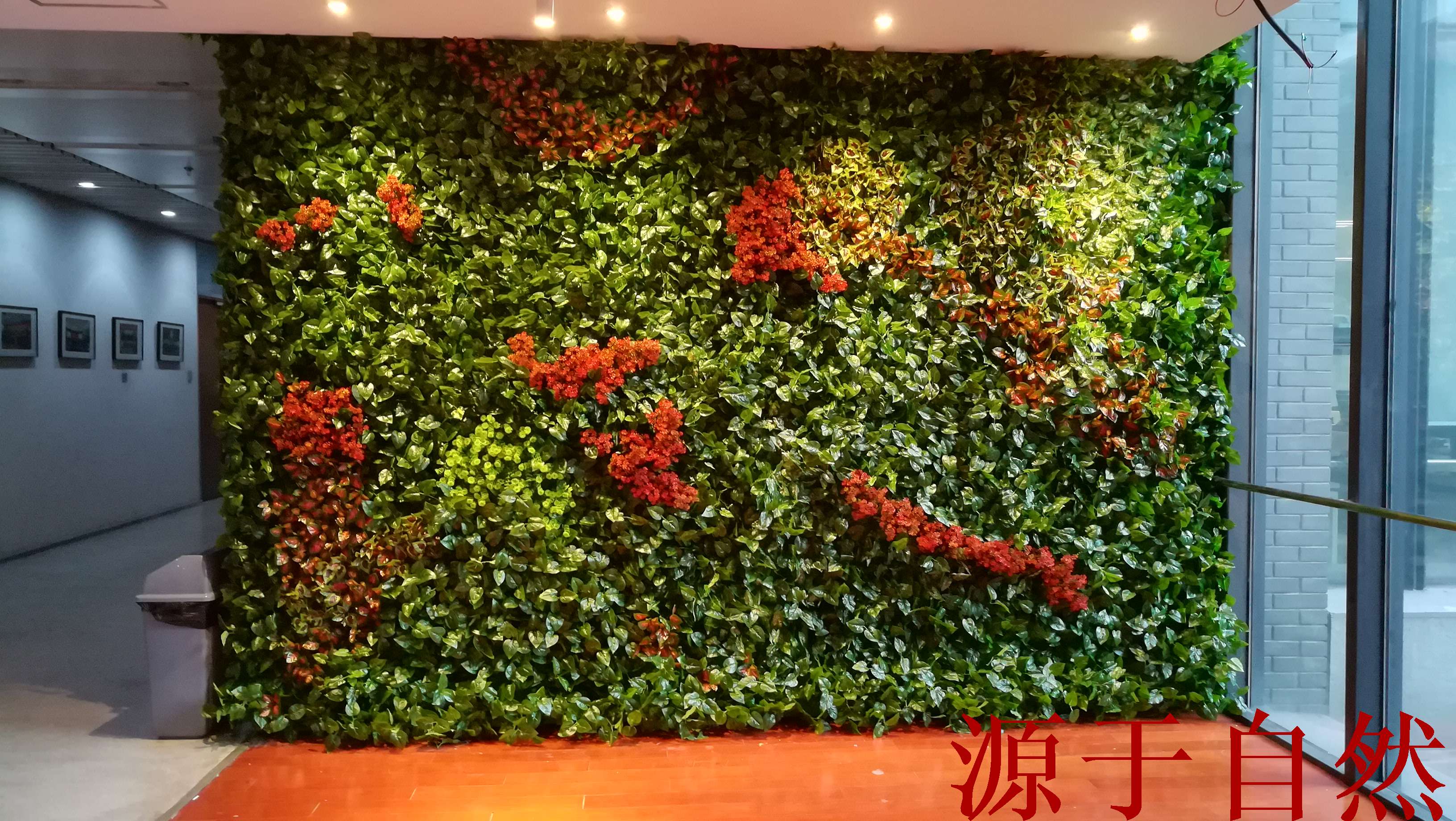 绿化墙植物墙图片大全,绿化墙,绿化墙效果图(第6页)_大山谷图库