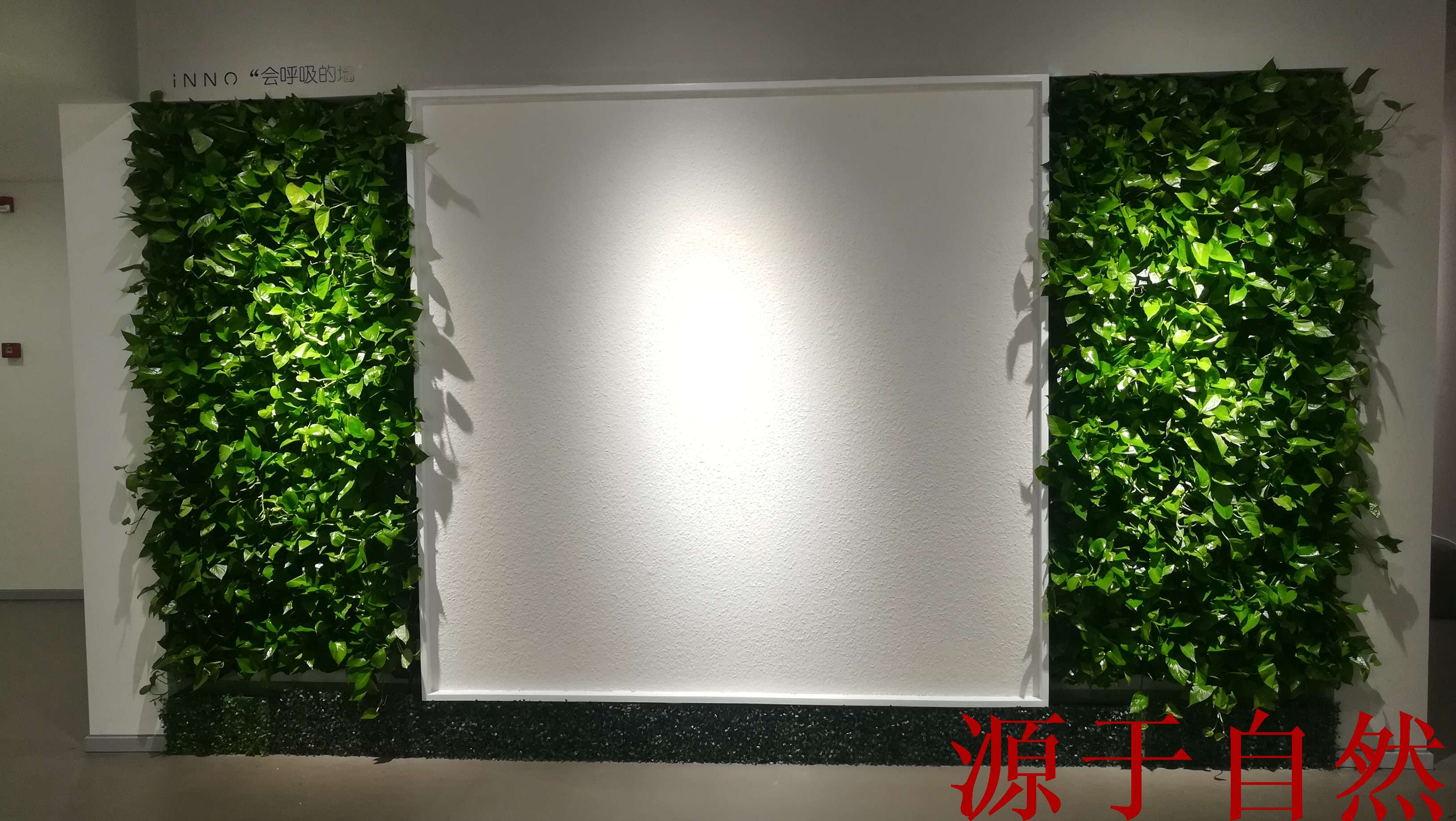 植物墙渲染|空间|家装设计|zoorh - 原创作品 - 站酷 (ZCOOL)